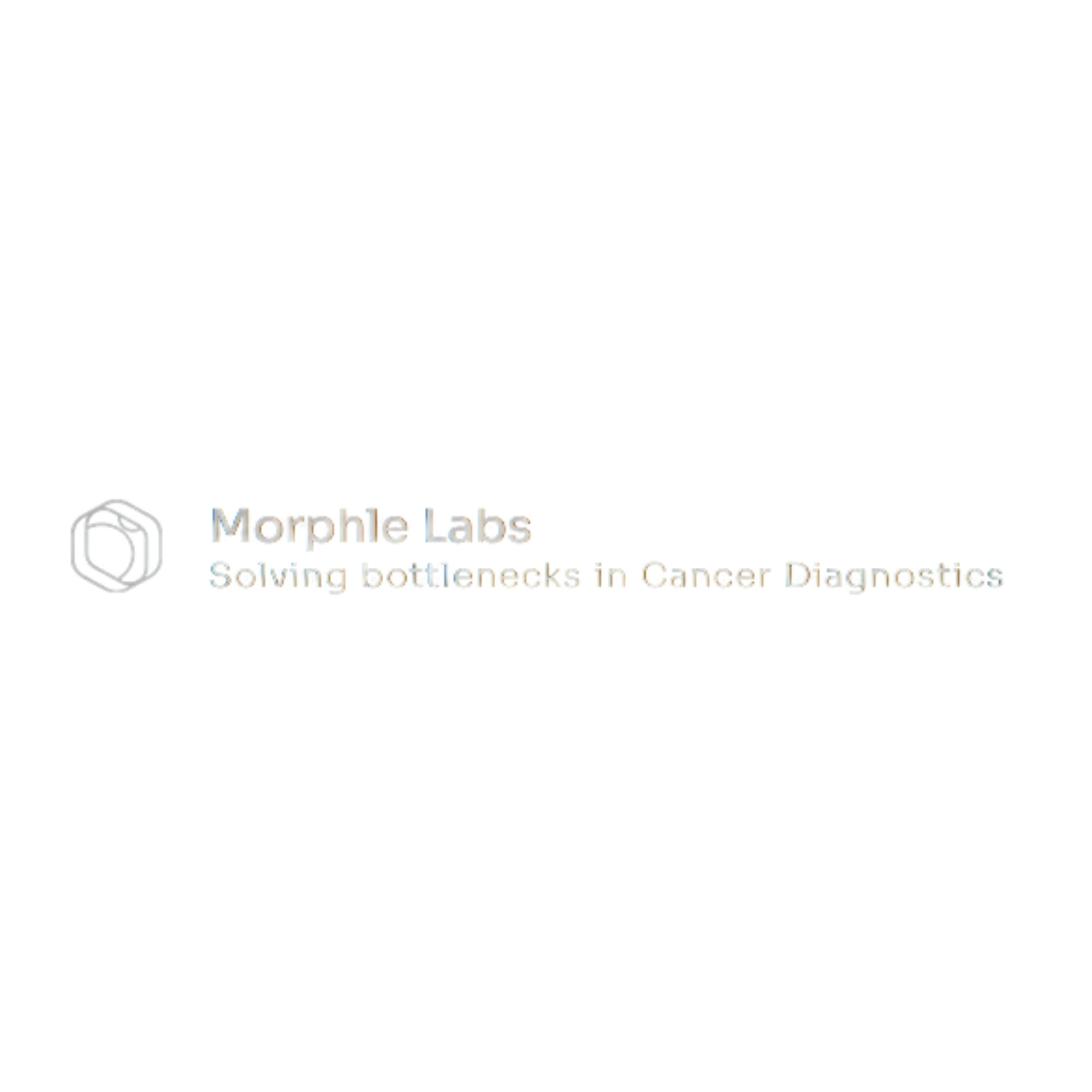 Morphe Labs